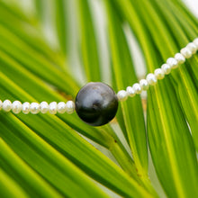 Load image into Gallery viewer, READY TO SHIP Freshwater Pearl Bracelet with Civa Fiji Pearl - 14k Gold Fill FJD$
