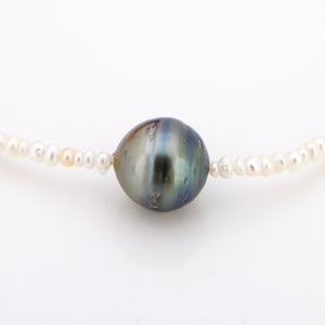 READY TO SHIP Freshwater Pearl Bracelet with Civa Fiji Pearl - 14k Gold Fill FJD$