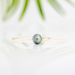 READY TO SHIP Freshwater Pearl Bracelet with Civa Fiji Pearl - 14k Gold Fill FJD$