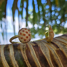 Load image into Gallery viewer, READY TO SHIP Bezel Set Shell Cuff - 14k Gold Fill FJD$
