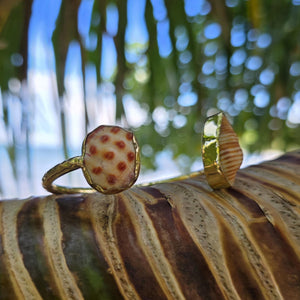 READY TO SHIP Bezel Set Shell Cuff - 14k Gold Fill FJD$