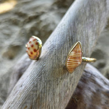 Load image into Gallery viewer, READY TO SHIP Bezel Set Shell Cuff - 14k Gold Fill FJD$
