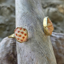 Load image into Gallery viewer, READY TO SHIP Bezel Set Shell Cuff - 14k Gold Fill FJD$
