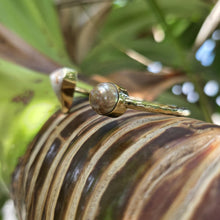 Load image into Gallery viewer, READY TO SHIP Civa Fiji Saltwater Bezel Set Pearl &amp; Shell Cuff - 14k Gold Fill FJD$
