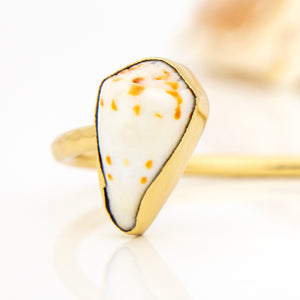 READY TO SHIP Civa Fiji Saltwater Bezel Set Pearl & Shell Cuff - 14k Gold Fill FJD$