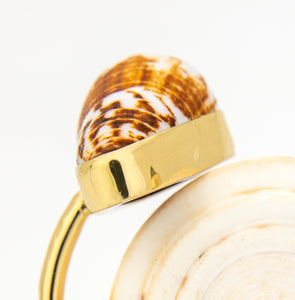 READY TO SHIP Civa Fiji Saltwater Bezel Set Pearl & Shell Cuff - 14k Gold Fill FJD$