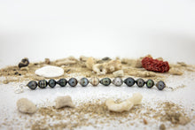 Load image into Gallery viewer, CONTACT US TO RECREATE THIS SOLD OUT STYLE Civa Fiji Saltwater Pearl Bracelet - 925 Sterling Silver FJD$
