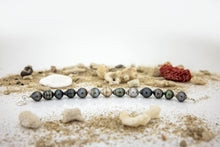 Load image into Gallery viewer, READY TO SHIP Civa Fiji Saltwater Pearl Bracelet - 925 Sterling Silver FJD$
