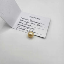 Load image into Gallery viewer, Civa Fiji Loose Saltwater Pearl with Grade Certificate #2203 - FJD$
