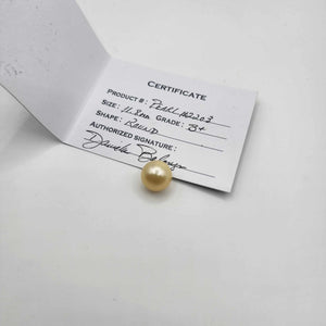 Civa Fiji Loose Saltwater Pearl with Grade Certificate #2203 - FJD$