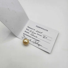 Load image into Gallery viewer, Civa Fiji Saltwater Pearl with Grade Certificate #2204 - FJD$
