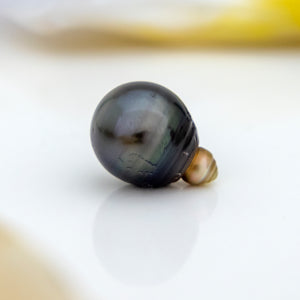 Civa Fiji Loose Saltwater Pearl with Grade Certificate #2157 - FJD$