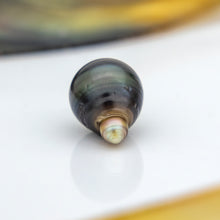Load image into Gallery viewer, Civa Fiji Loose Saltwater Pearl with Grade Certificate #2157 - FJD$
