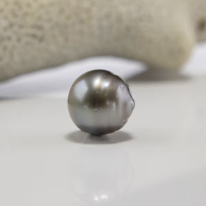 Civa Fiji Loose Saltwater Pearl with Grade Certificate #2198 - FJD$