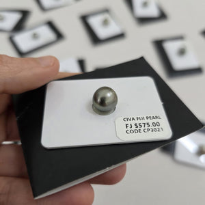 Fiji Loose Saltwater Pearl with Grade Certificate #3021 - FJD$