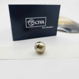 Civa Fiji Loose Saltwater Pearl with Grade Certificate #3034 - FJD$