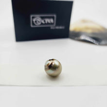 Load image into Gallery viewer, Civa Fiji Loose Saltwater Pearl with Grade Certificate #3034 - FJD$
