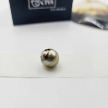 Load image into Gallery viewer, Civa Fiji Loose Saltwater Pearl with Grade Certificate #3034 - FJD$
