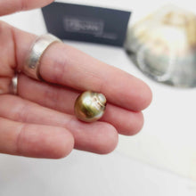 Load image into Gallery viewer, Civa Fiji Loose Saltwater Pearl with Grade Certificate #3034 - FJD$
