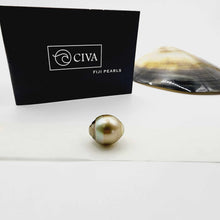 Load image into Gallery viewer, Civa Fiji Loose Saltwater Pearl with Grade Certificate #3034 - FJD$
