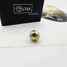 Load image into Gallery viewer, Civa Fiji Loose Saltwater Pearl with Grade Certificate #3034 - FJD$
