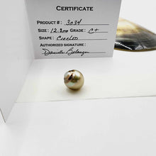 Load image into Gallery viewer, Civa Fiji Loose Saltwater Pearl with Grade Certificate #3034 - FJD$
