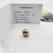 Load image into Gallery viewer, Civa Fiji Loose Saltwater Pearl with Grade Certificate #3034 - FJD$
