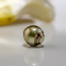 Load image into Gallery viewer, Civa Fiji Loose Saltwater Pearl with Grade Certificate #3034 - FJD$

