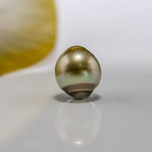 Load image into Gallery viewer, Civa Fiji Loose Saltwater Pearl with Grade Certificate #3034 - FJD$
