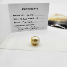 Load image into Gallery viewer, READY TO SHIP Civa Fiji Graded Pearl &amp; Honey Bee Charm Bracelet - 925 Sterling Silver FJD$
