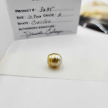 Load image into Gallery viewer, READY TO SHIP Civa Fiji Graded Pearl &amp; Honey Bee Charm Bracelet - 925 Sterling Silver FJD$
