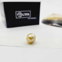 Load image into Gallery viewer, READY TO SHIP Civa Fiji Graded Pearl &amp; Honey Bee Charm Bracelet - 925 Sterling Silver FJD$
