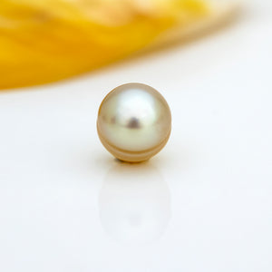 READY TO SHIP Civa Fiji Graded Pearl & Honey Bee Charm Bracelet - 925 Sterling Silver FJD$