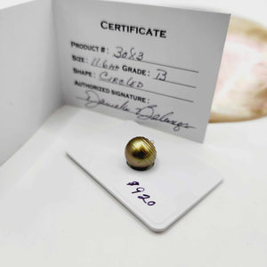 Civa Fiji Loose Saltwater Pearl with Grade Certificate #3083 - FJD$