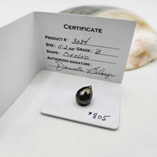 Load image into Gallery viewer, Civa Fiji Saltwater Pearl with Grade Certificate #3084 - FJD$
