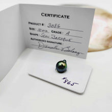 Load image into Gallery viewer, Civa Fiji Saltwater Pearl with Grade Certificate #3086 - FJD$
