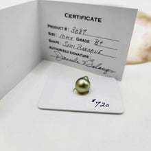 Load image into Gallery viewer, Civa Fiji Saltwater Pearl with Grade Certificate #3087 - FJD$
