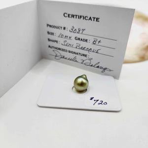 Civa Fiji Saltwater Pearl with Grade Certificate #3087 - FJD$