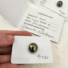 Load image into Gallery viewer, Civa Fiji Saltwater Pearl with Grade Certificate #3089 - FJD$

