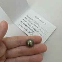 Load image into Gallery viewer, Civa Fiji Loose Saltwater Pearl with Grade Certificate #3089 - FJD$
