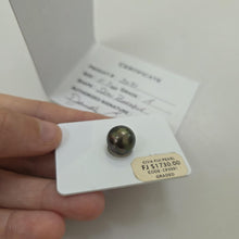 Load image into Gallery viewer, Civa Fiji Loose Saltwater Pearl with Grade Certificate #3091 - FJD$
