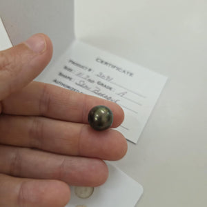Civa Fiji Loose Saltwater Pearl with Grade Certificate #3091 - FJD$
