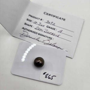 Civa Fiji Loose Saltwater Pearl with Grade Certificate #3092- FJD$