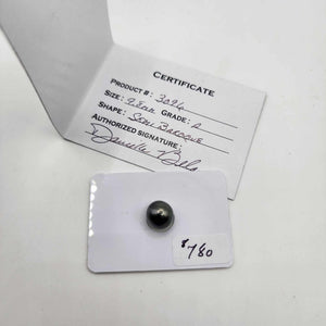 Civa Fiji Saltwater Pearl with Grade Certificate #3096 - FJD$
