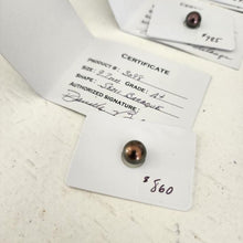Load image into Gallery viewer, Civa Fiji Saltwater Pearl with Grade Certificate #3098 - FJD$
