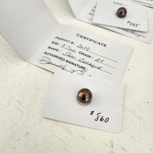 Civa Fiji Saltwater Pearl with Grade Certificate #3098 - FJD$