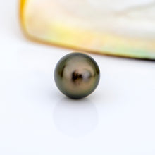 Load image into Gallery viewer, Civa Fiji Saltwater Pearl with Grade Certificate #3098 - FJD$

