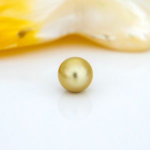Civa Fiji Saltwater Pearl with Grade Certificate #3099- FJD$