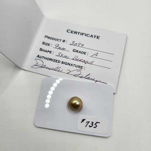 Civa Fiji Saltwater Pearl with Grade Certificate #3099- FJD$