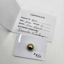 Load image into Gallery viewer, Civa Fiji Saltwater Pearl with Grade Certificate #3101- FJD$
